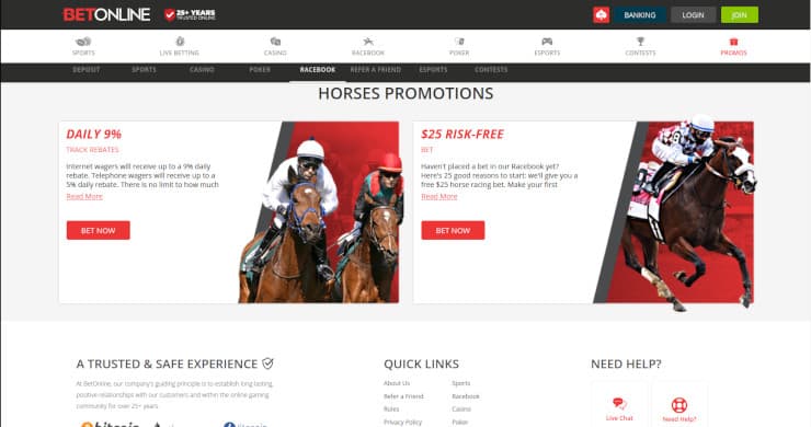 BetOnline Horse Racing Bets