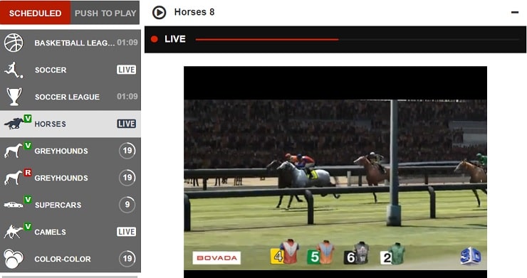 Bovada Virtual Horse Racing