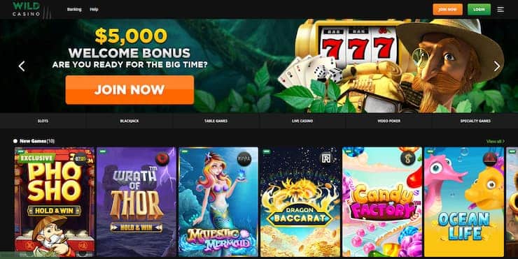 Wild Casino - Michigan Online Casino Bonus