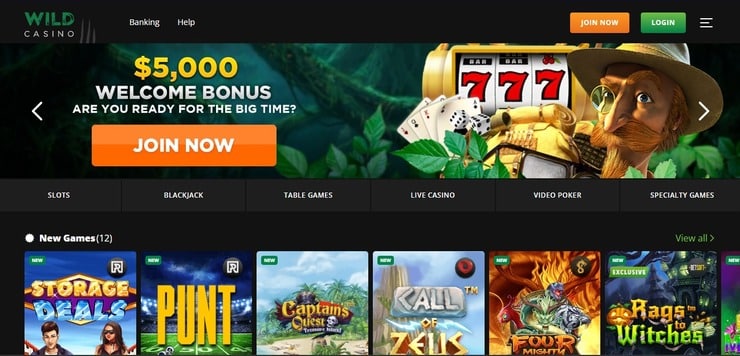 Wild Casino - Top online gambling Florida Site