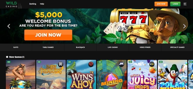 Wild Casino Is the Best No Wagering Casino for US Players