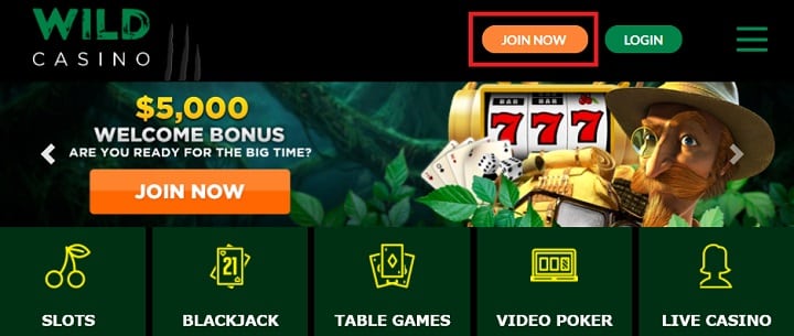 Wild Casino Join Now Button