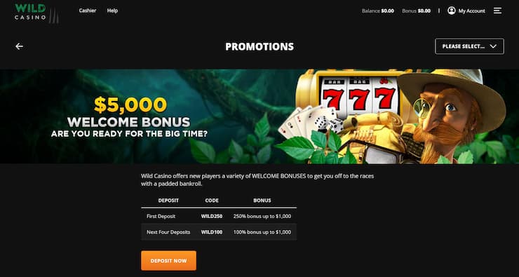 $10 Wild Casino Promotions