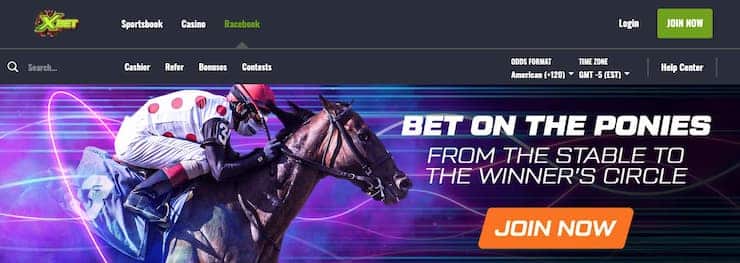Georgia horse racing betting - Xbet 